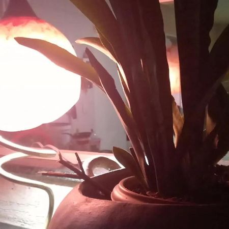 Hotel Fazenda Recanto Das Aguias 알퀴라즈 외부 사진
